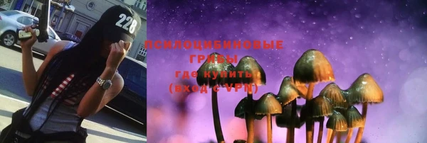 ECSTASY Новозыбков