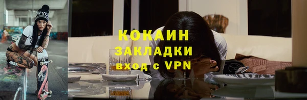 твердый Козельск