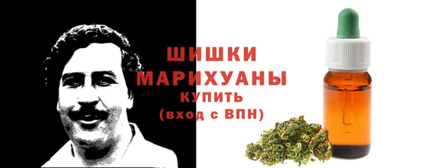 гидра Козловка