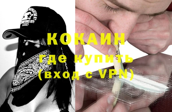 сатива Каменка
