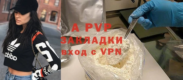 гидра Козловка
