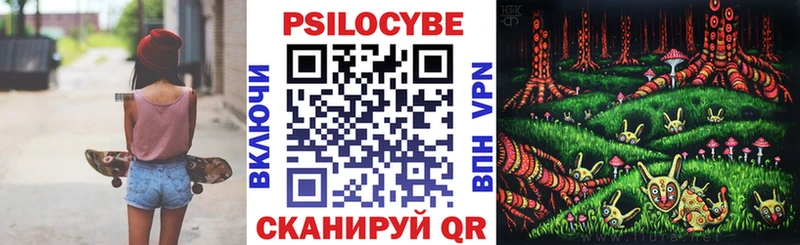где можно купить   Кулебаки  Псилоцибиновые грибы Magic Shrooms 