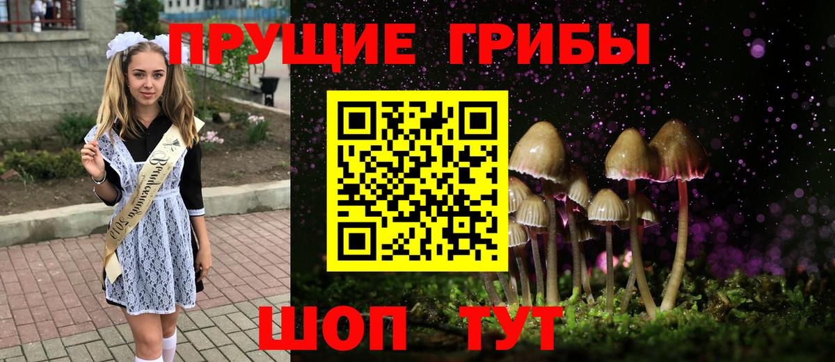 Галлюциногенные грибы Magic Shrooms  Вход с VPN  Кулебаки  Галлюциногенные грибы Psilocybe 
