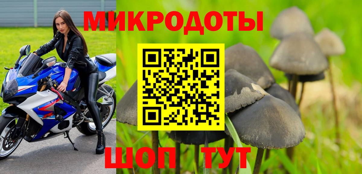 Галлюциногенные грибы Magic Shrooms Кулебаки
